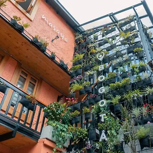 Masaya Bogota